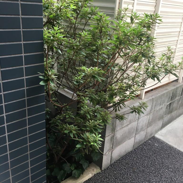 ラヴィン その他10