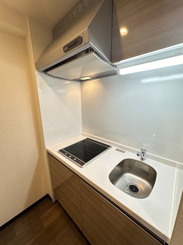 ブリリアントジュネス本町 その他10