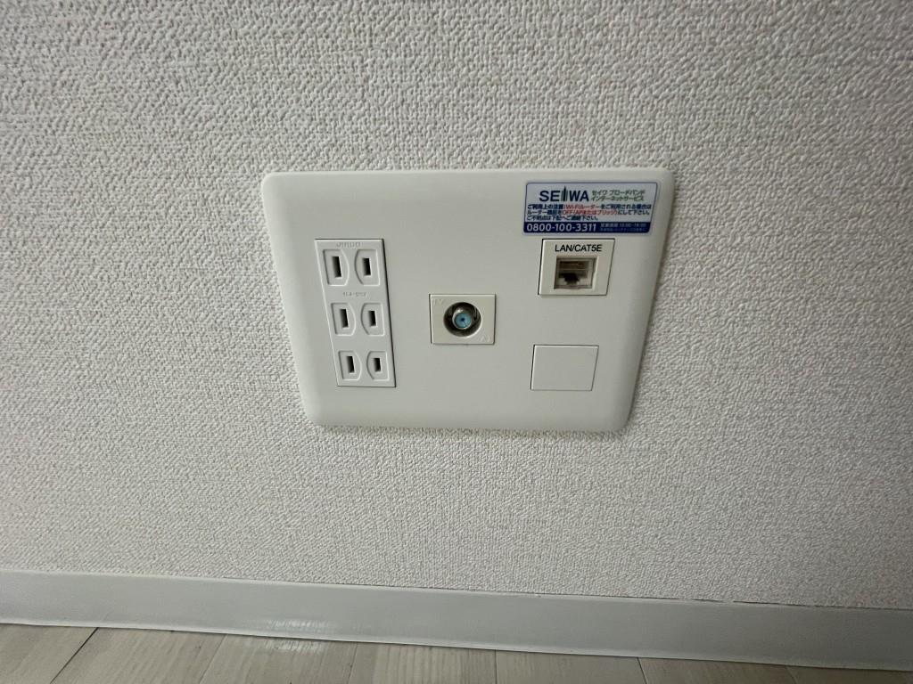 ロイヤルピジョン ライズ その他11