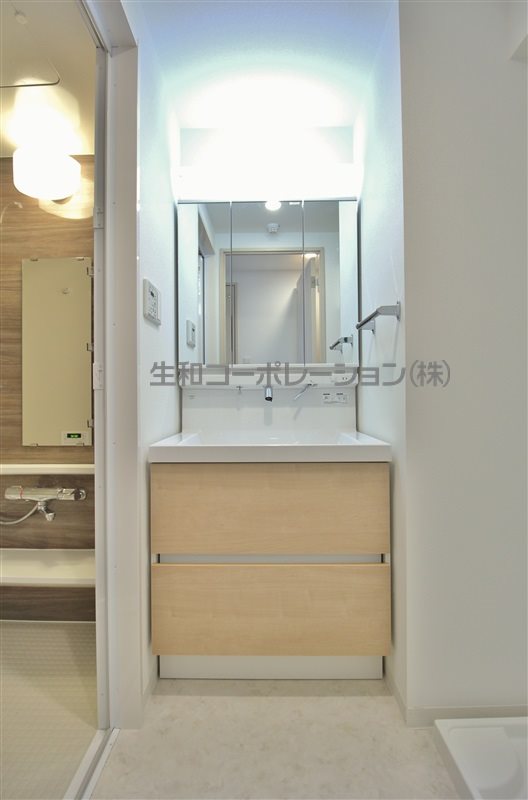 ﾌﾟﾚﾐｱｰﾀ ﾙｰﾁｪ その他3