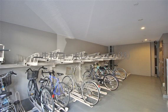 ﾌﾟﾚﾐｱｰﾀ ﾙｰﾁｪ その他16