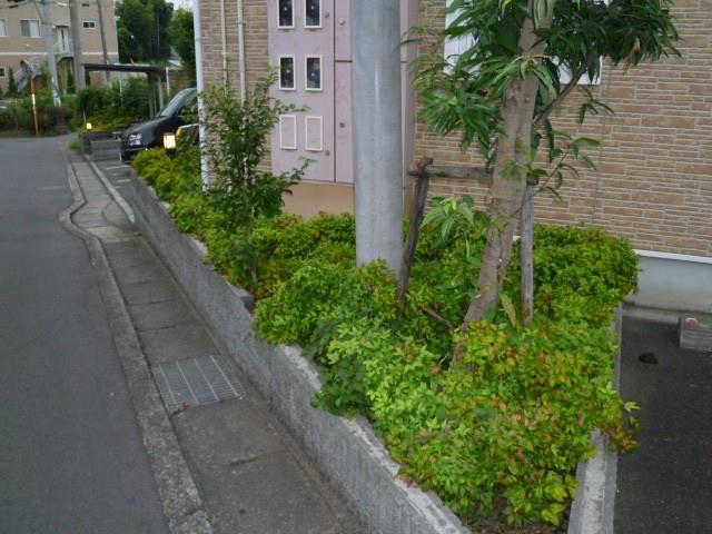 リマーレ二番館 その他26