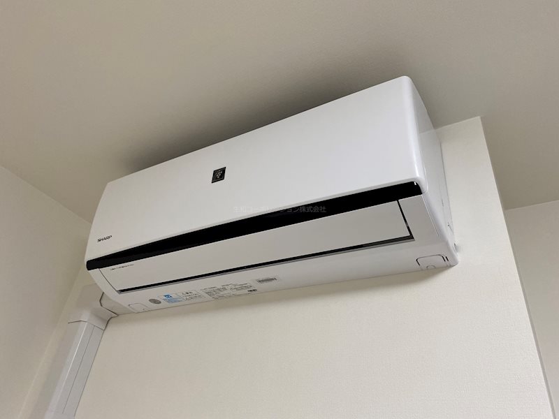 エストリュエル その他3