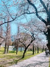 コンフォール京橋 周辺画像4