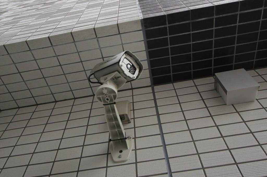 Toile blanche その他6