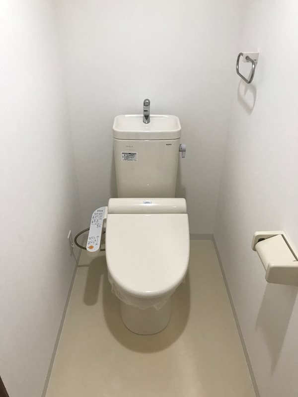 シュロスフォンコウナン その他1