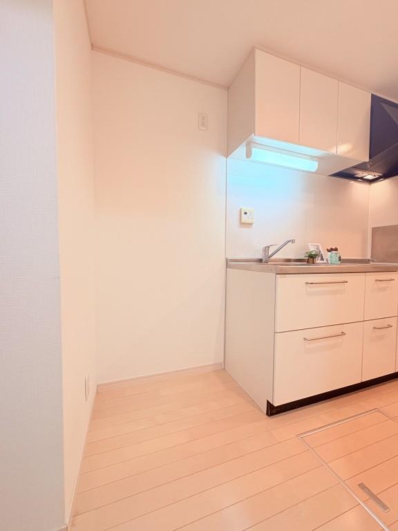 ヴァン パッソルⅡ その他12