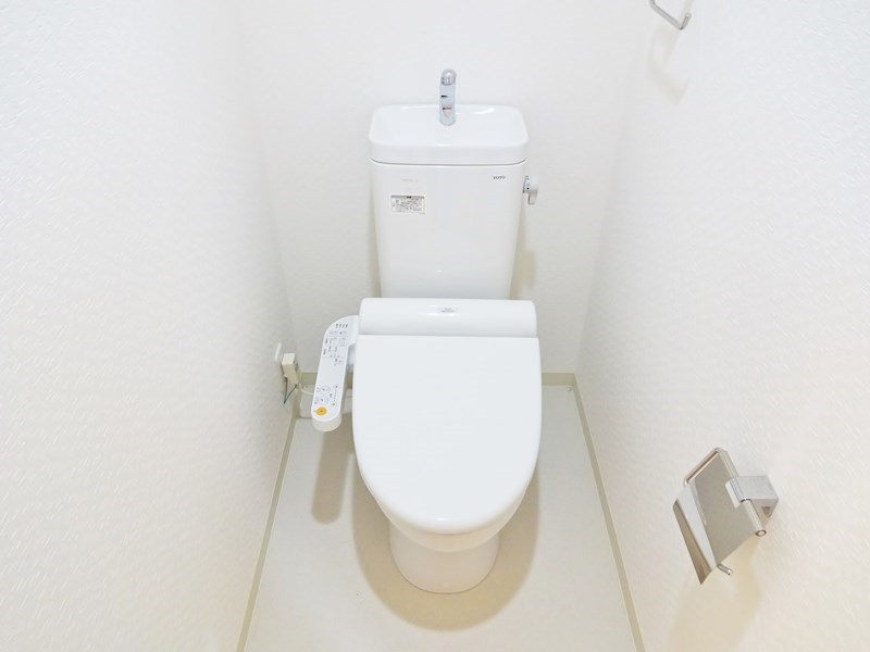 槻（ケヤキ） その他3