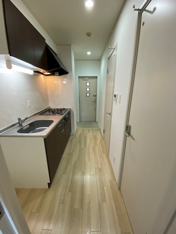 ルネドールマノ その他6