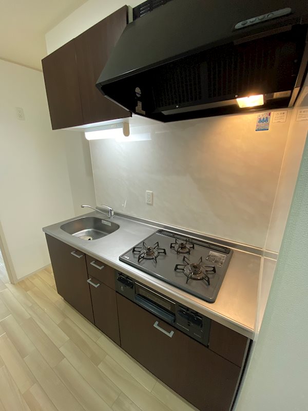 ルネドールマノ キッチン