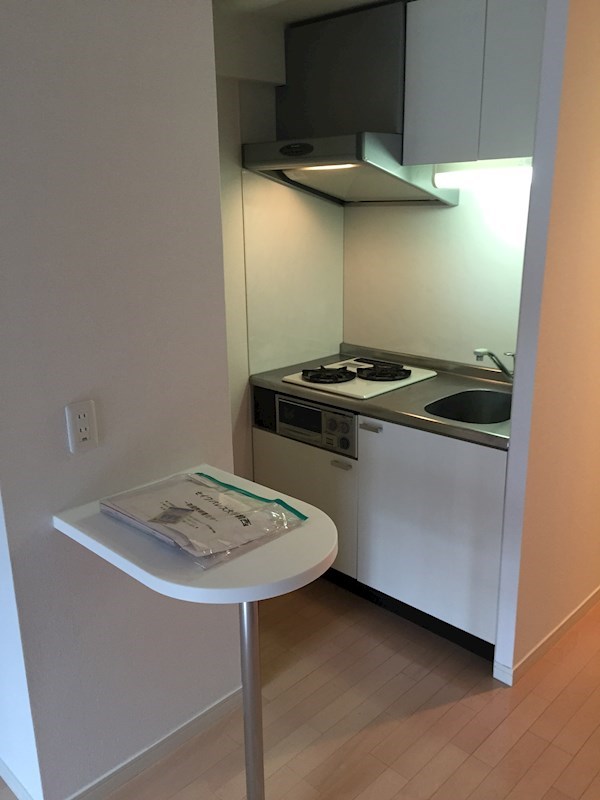 セイワパレス大手前西 その他9