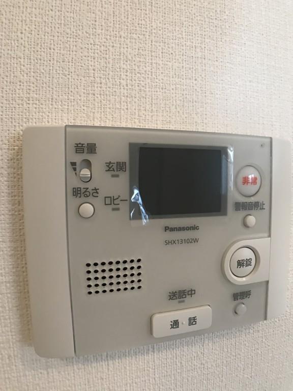 グレースランド その他15