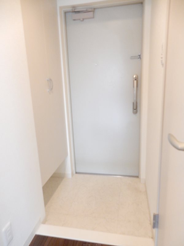 &#12521;&#12501;&#12451;&#12540;&#12493;&#12524;&#12472;&#12487;&#12531;&#12473; &#29572;&#38306;