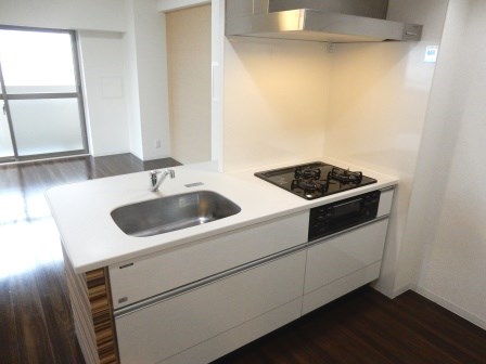 &#12521;&#12501;&#12451;&#12540;&#12493;&#12524;&#12472;&#12487;&#12531;&#12473; &#12461;&#12483;&#12481;&#12531;