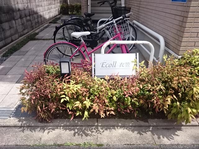 エコール衣笠 その他外観4