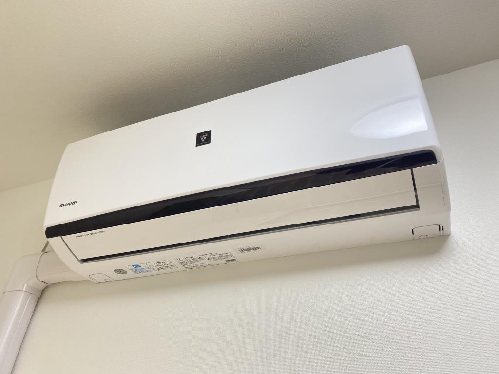 La peche Kino その他17