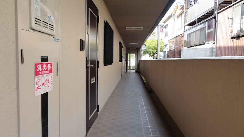 &#12487;&#12451;&#12450;&#12467;&#12540;&#12488;&#34276;&#20117;&#23546; &#12381;&#12398;&#20182;6