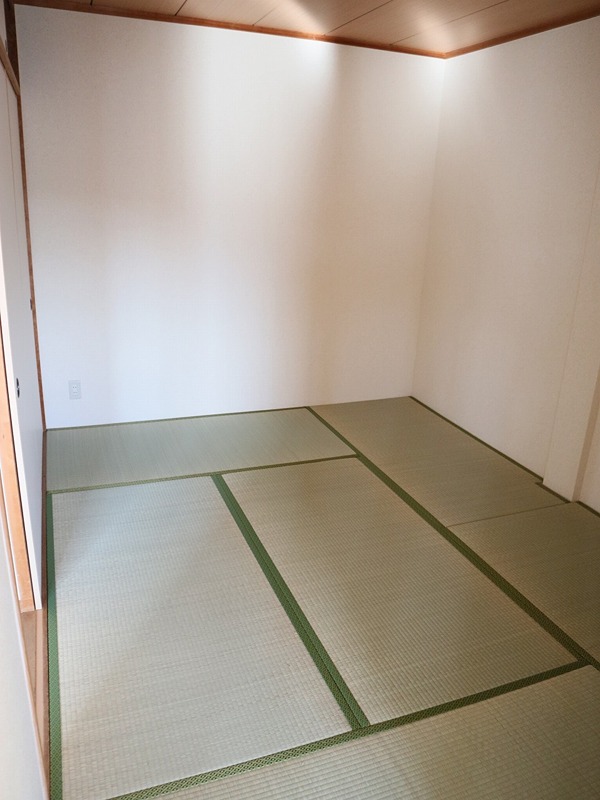 &#12487;&#12451;&#12450;&#12467;&#12540;&#12488;&#34276;&#20117;&#23546; &#12381;&#12398;&#20182;9