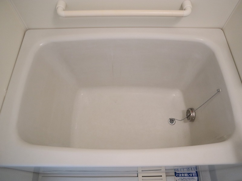 &#12487;&#12451;&#12450;&#12467;&#12540;&#12488;&#34276;&#20117;&#23546; &#39080;&#21570;&#30011;&#20687;