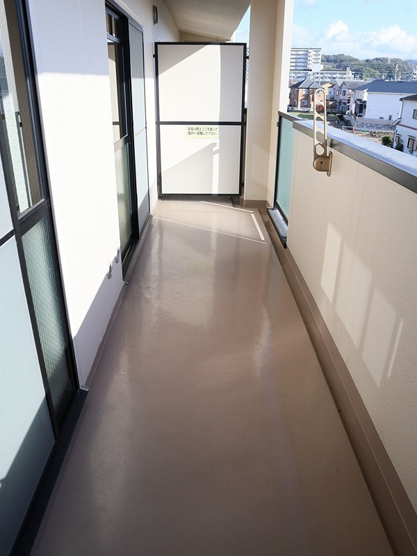 &#12487;&#12451;&#12450;&#12467;&#12540;&#12488;&#34276;&#20117;&#23546; &#12505;&#12521;&#12531;&#12480;