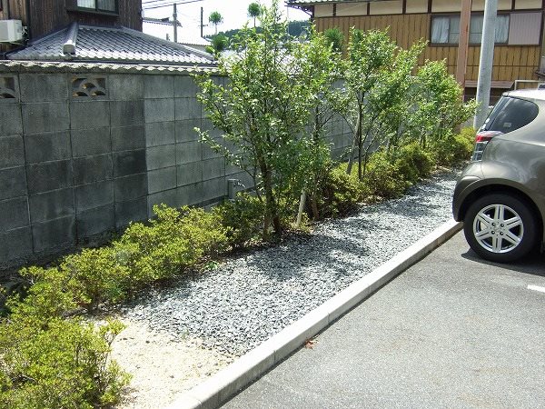 アザレアスクエア その他17