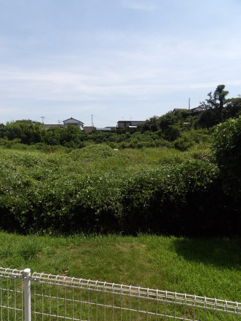 パークサイドイン桃山 その他10