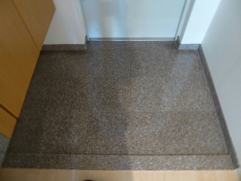 ヴィラ安堂寺Ⅱ 玄関