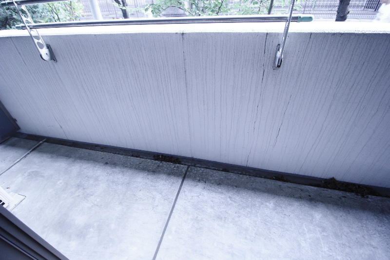 Allies Meadow その他7