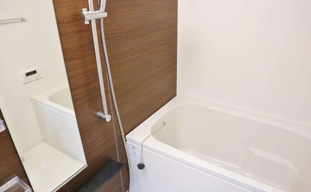 セイワパレス丸の内駅前プレミア 風呂画像