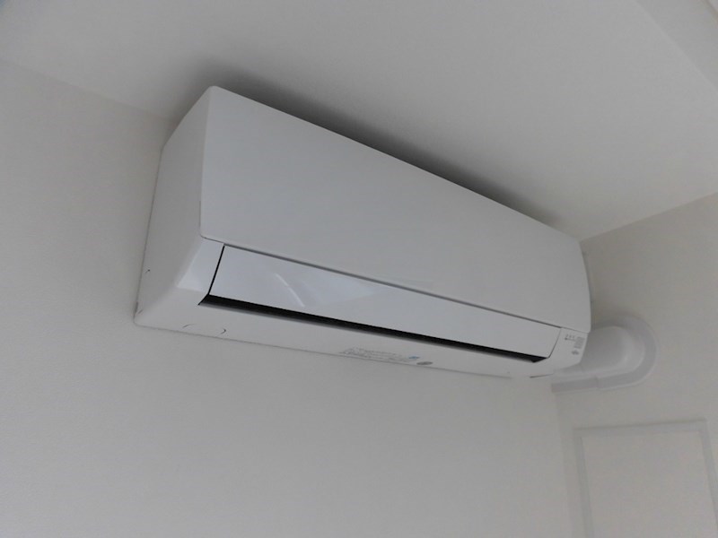 フェニックス その他8