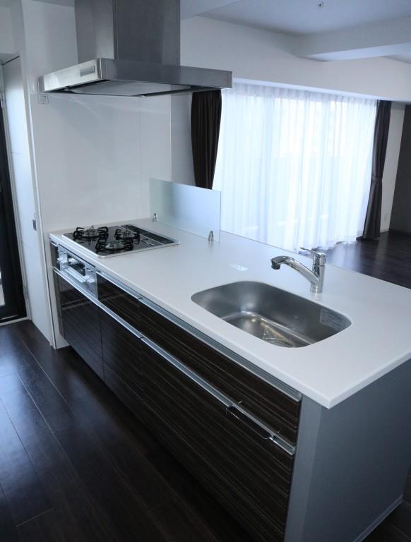 セイワパレス丸の内駅前 キッチン