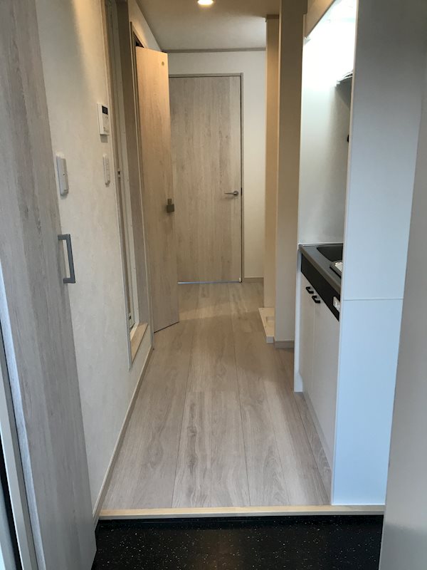 Cerezo・PaseoⅠ 玄関