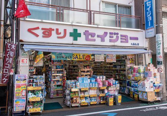 アルカディア田園調布 周辺画像4