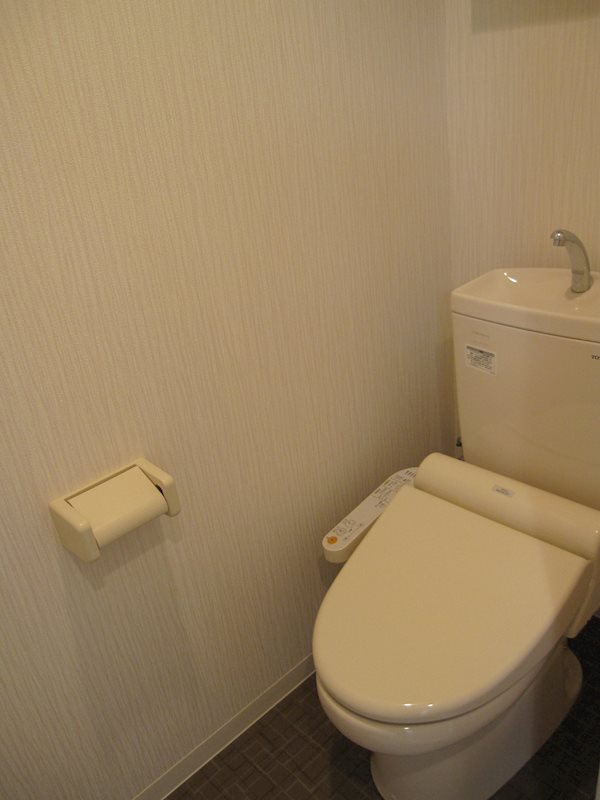 フォーチュン ドゥミール その他2