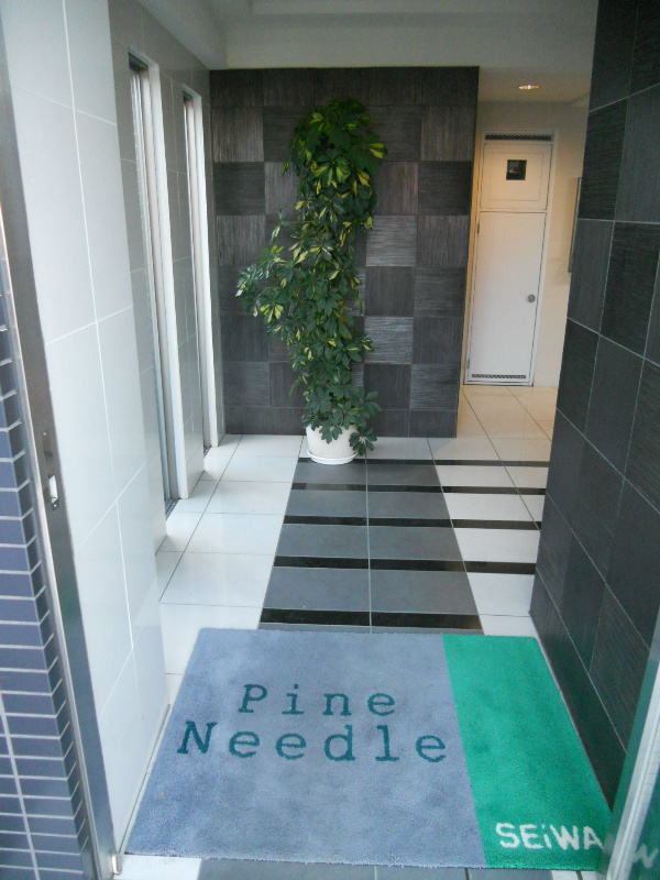 パインニードル その他外観3