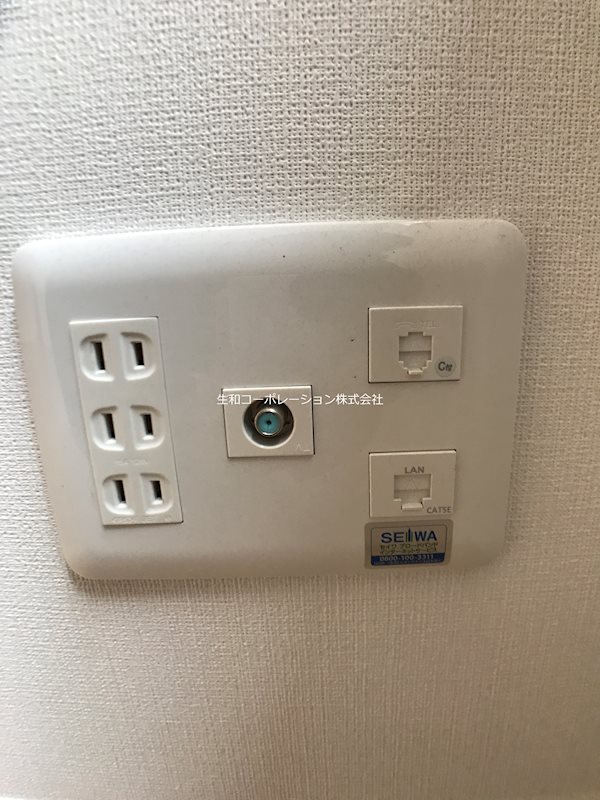 ツルマキロジ その他9