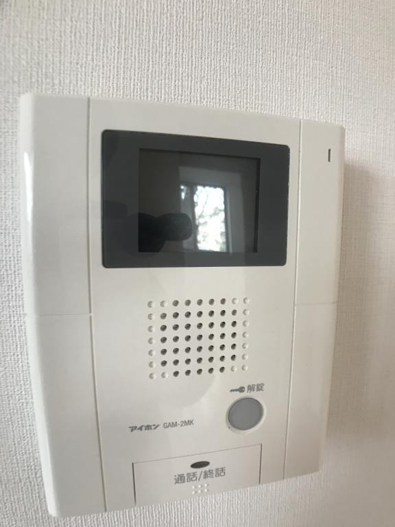 ツルマキロジ その他13