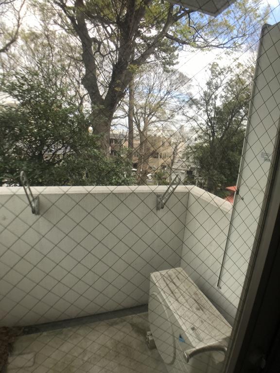 ツルマキロジ ベランダ