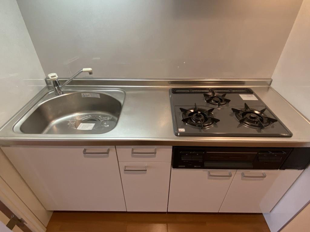 ディアウス両国 その他10