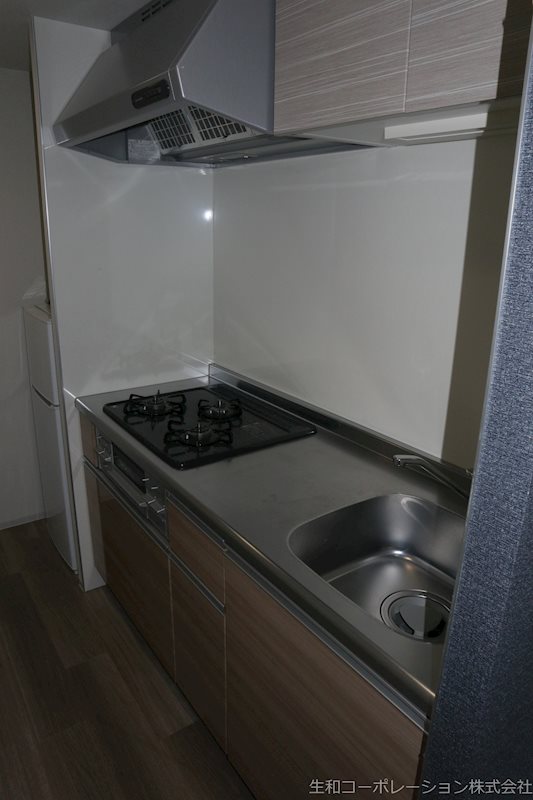 セイワパレス丸の内駅前プレミア キッチン