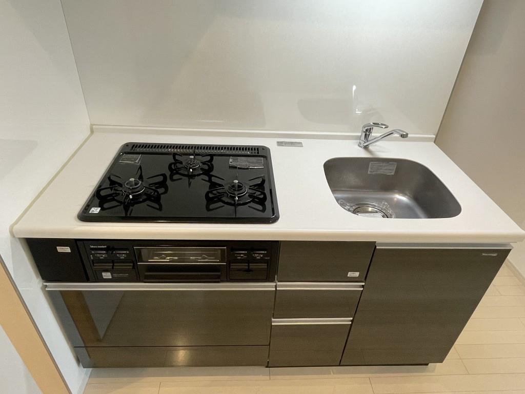 グレイスヴィラ光 その他11