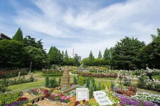 ハーヴェスト京町堀 周辺画像3