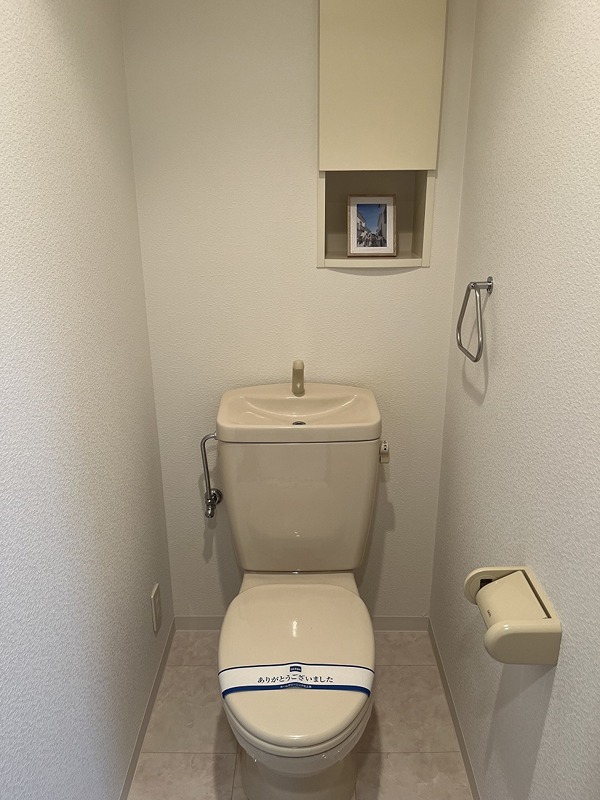 ステラコート その他2