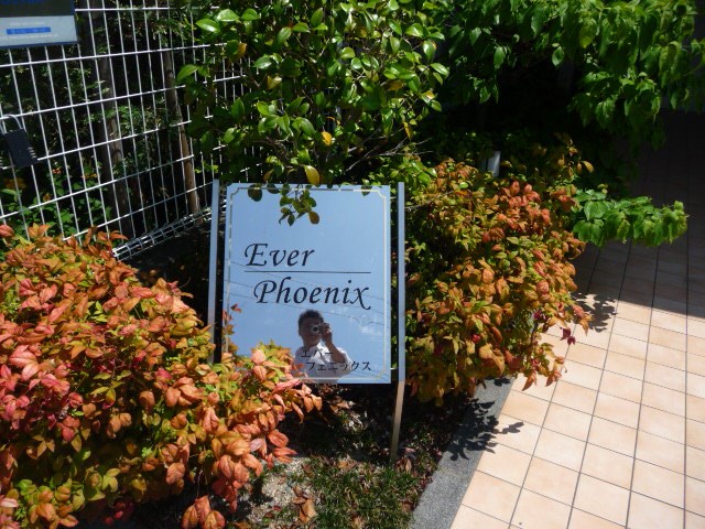 エバーフェニックス その他外観2