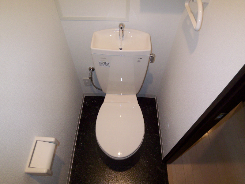 エバーフェニックス その他10