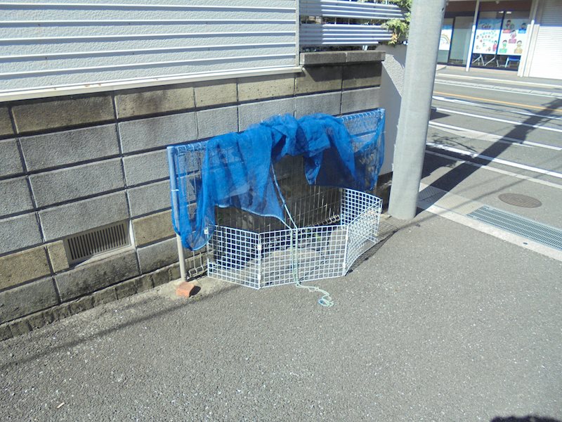 パシフィック稲野 その他外観3