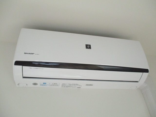 Shamrock・N その他3