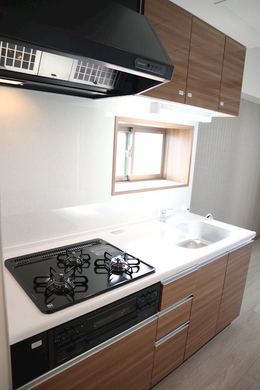 プラテリア弥生 その他5