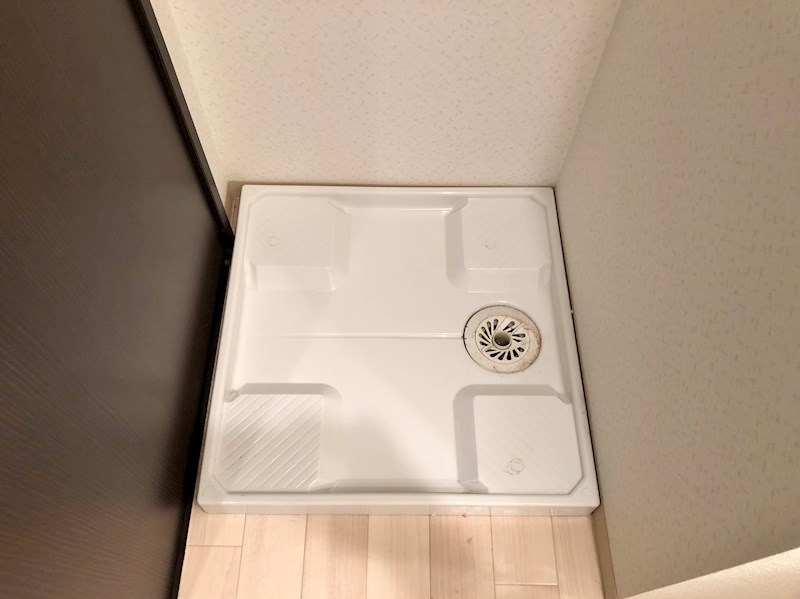シグナス その他13