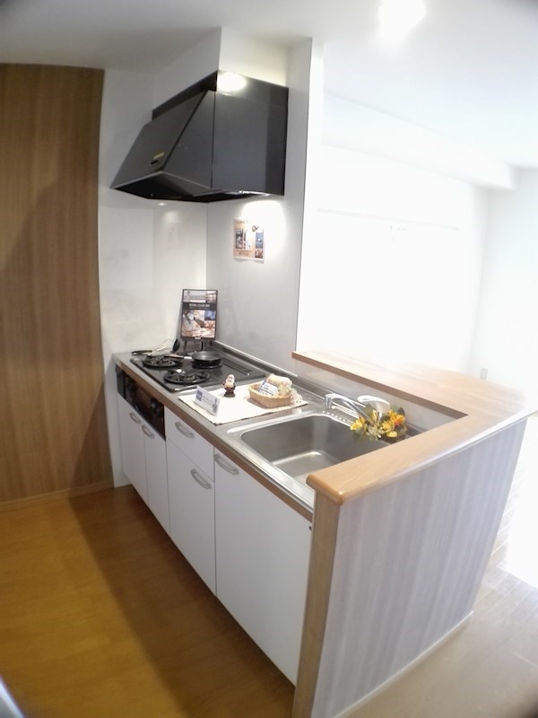 フォレストヒルズⅡ キッチン